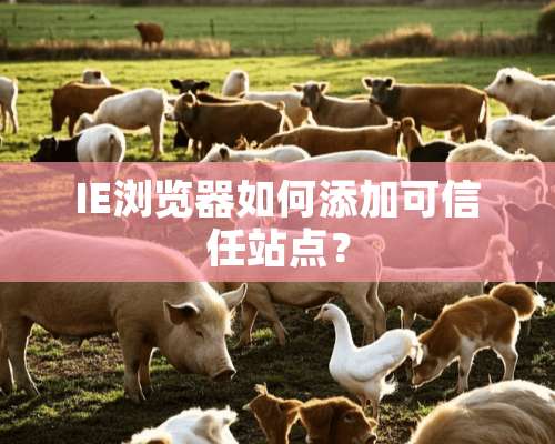 IE浏览器如何添加可信任站点？