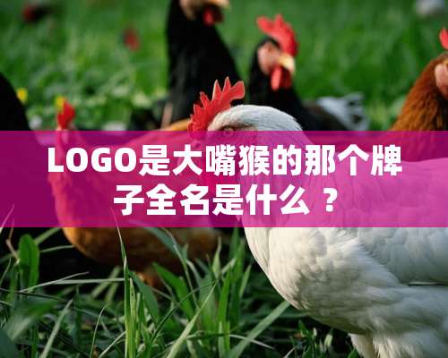 LOGO是大嘴猴的那个牌子全名是什么 ？