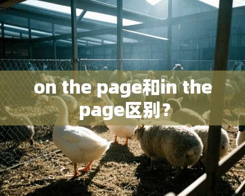 on the page和in the page区别？