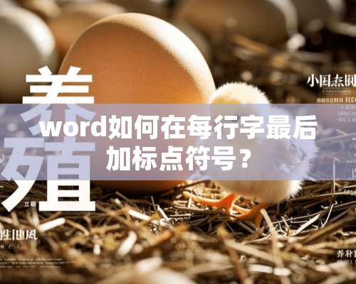 word如何在每行字最后加标点符号？