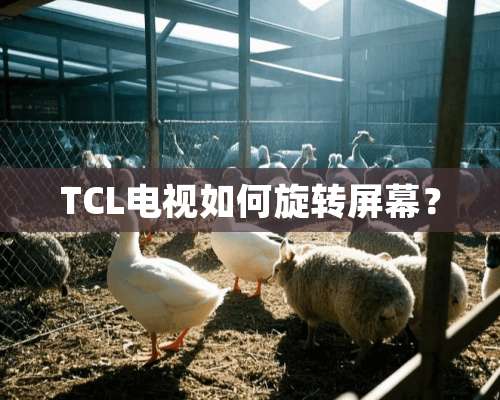 TCL电视如何旋转屏幕？