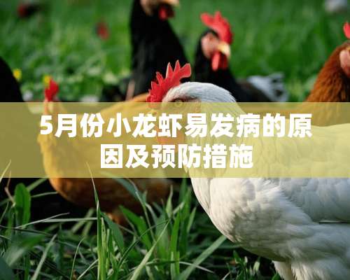 5月份小龙虾易发病的原因及预防措施