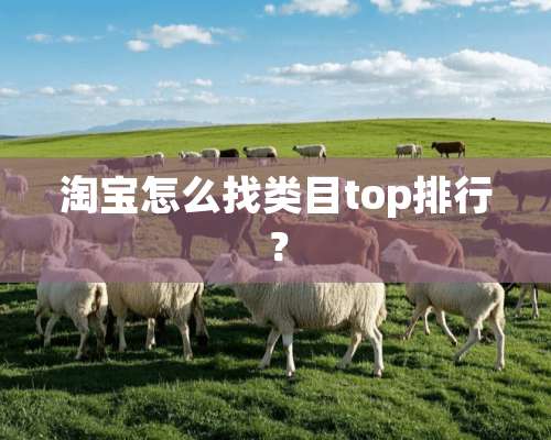 淘宝怎么找类目top排行？