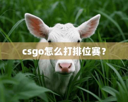 csgo怎么打排位赛？