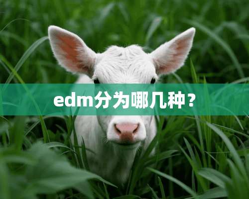 edm分为哪几种？