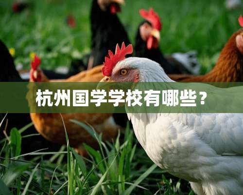 杭州国学学校有哪些？