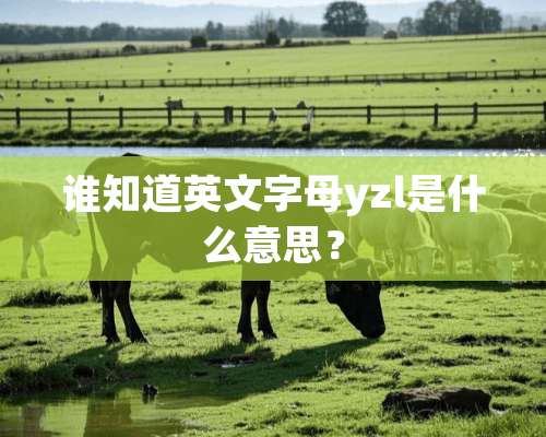 谁知道英文字母yzl是什么意思？