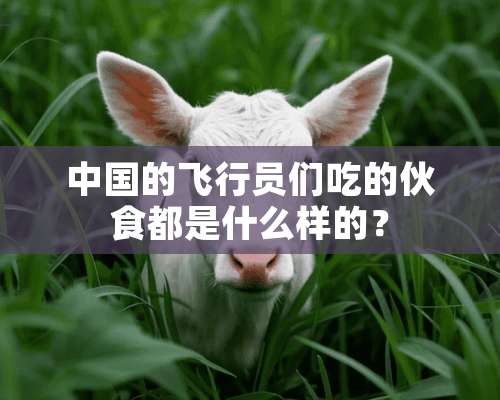 中国的飞行员们吃的伙食都是什么样的？