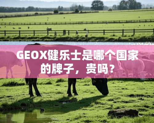 GEOX健乐士是哪个国家的牌子，贵吗？