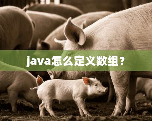 java怎么定义数组？