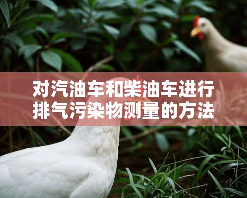 对汽油车和柴油车进行排气污染物测量的方法有哪些