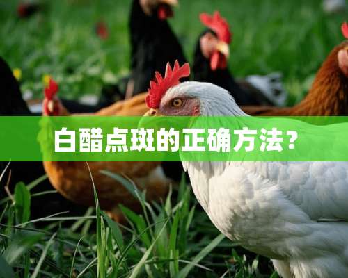 白醋点斑的正确方法？