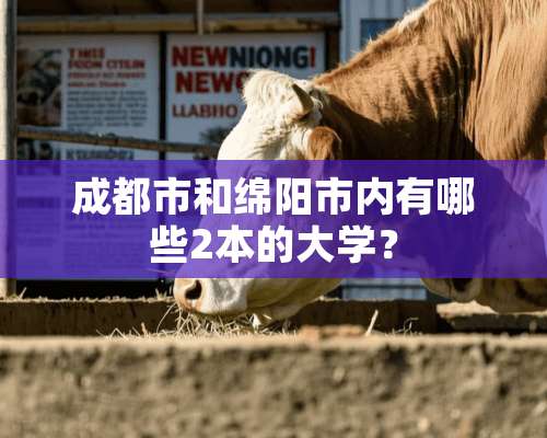 成都市和绵阳市内有哪些2本的大学？