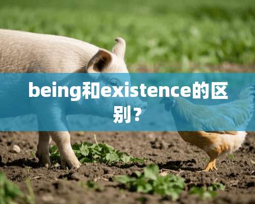 being和existence的区别？