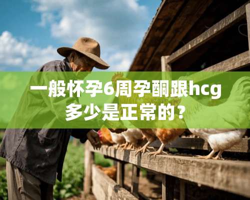 一般怀孕6周孕酮跟hcg多少是正常的？