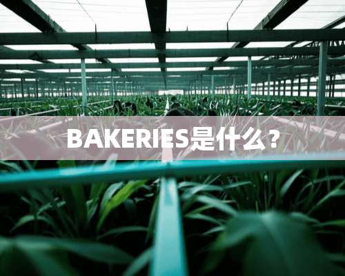 BAKERIES是什么？