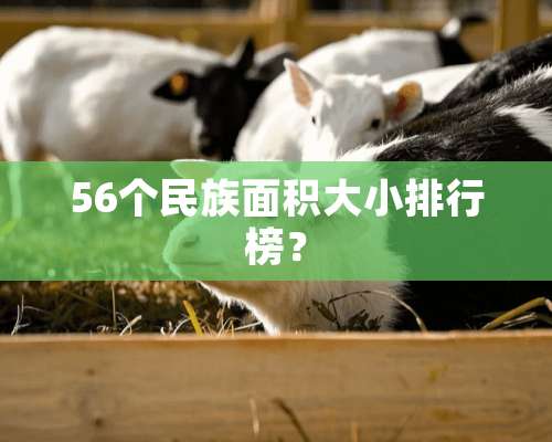 56个民族面积大小排行榜？