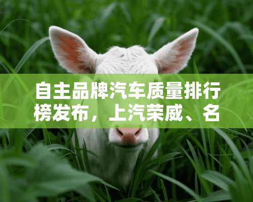 自主品牌汽车质量排行榜发布，上汽荣威、名爵表现优秀