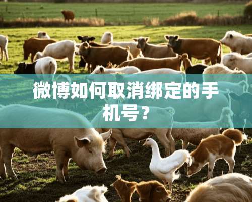 微博如何取消绑定的手机号？