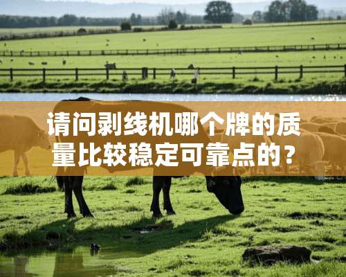 请问剥线机哪个牌的质量比较稳定可靠点的？