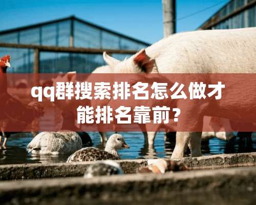 qq群搜索排名怎么做才能排名靠前？