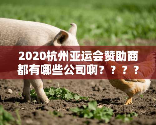 2020杭州亚运会赞助商都有哪些公司啊？？？？