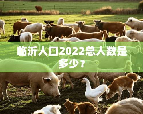 临沂人口2022总人数是多少？