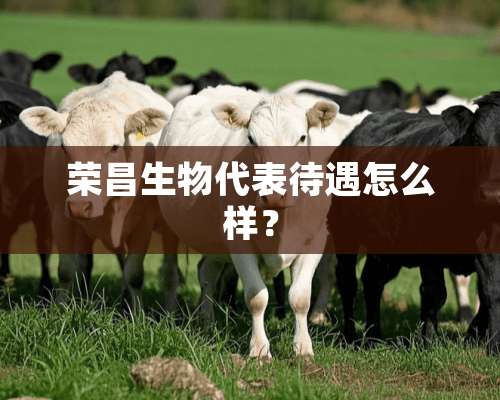 荣昌生物代表待遇怎么样？