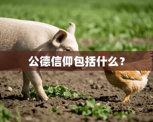 公德信仰包括什么？