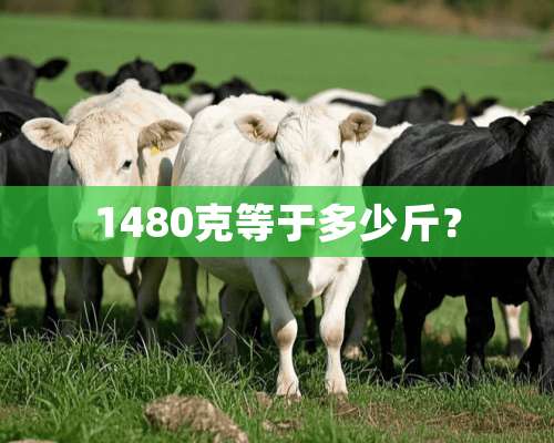 1480克等于多少斤？