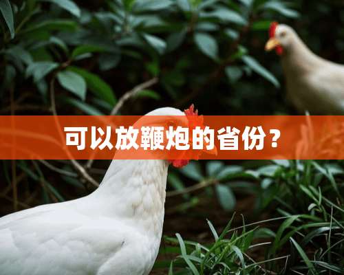 可以放鞭*的省份？