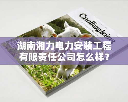 湖南湘力电力安装工程有限责任公司怎么样？