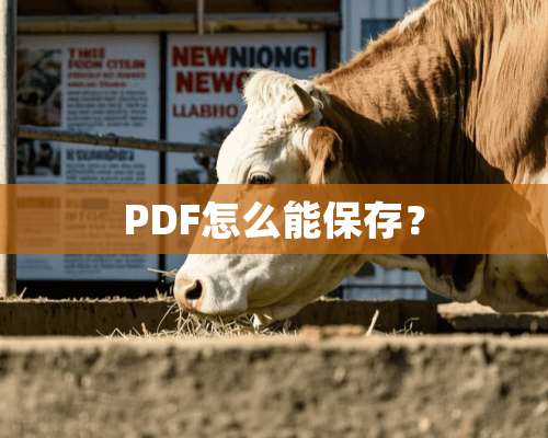 PDF怎么能保存？