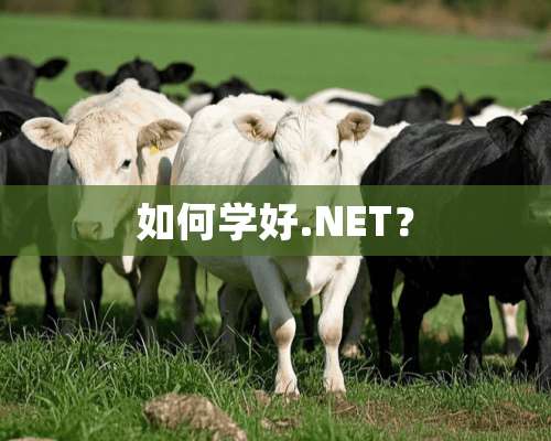 如何学好.NET？