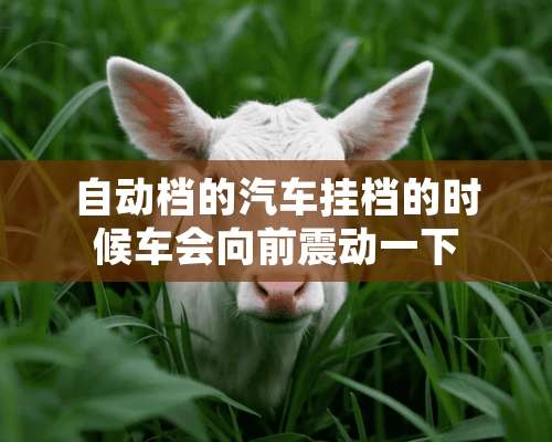 自动档的汽车挂档的时候车会向前震动一下