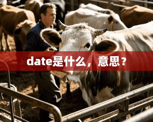 date是什么，意思？