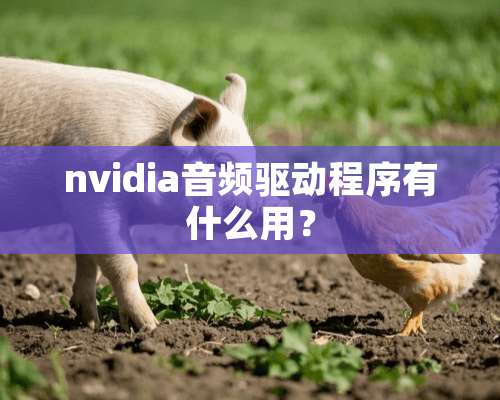 nvidia音频驱动程序有什么用？