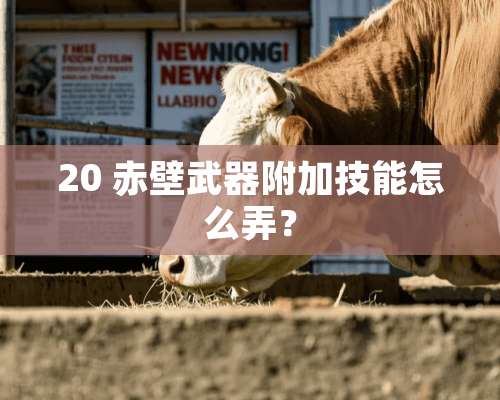 20 赤壁**附加技能怎么弄？