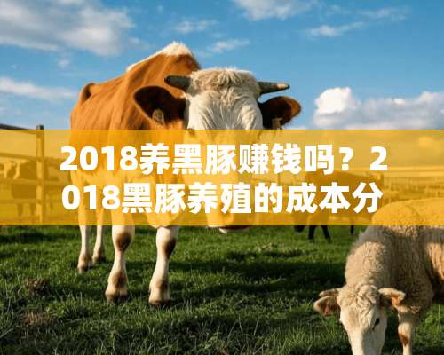 2018养黑豚赚钱吗？2018黑豚养殖的成本分析