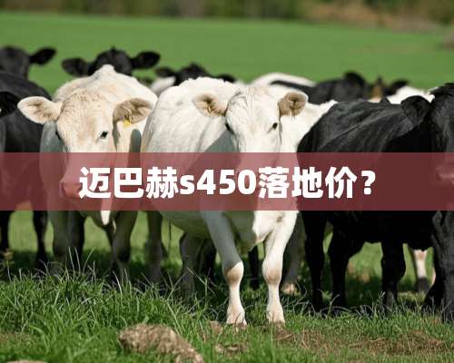 迈**s450落地价？