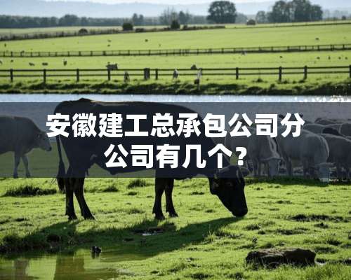 安徽建工总承包公司分公司有几个？