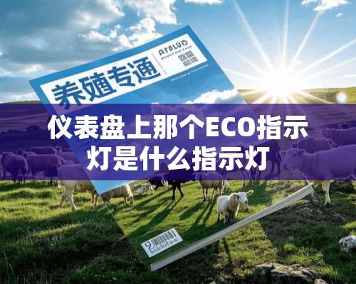 仪表盘上那个ECO指示灯是什么指示灯