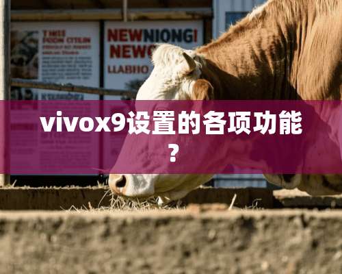 vivox9设置的各项功能？