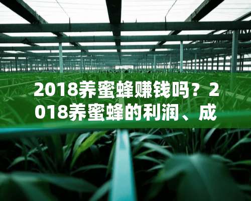 2018养蜜蜂赚钱吗？2018养蜜蜂的利润、成本、前景预测