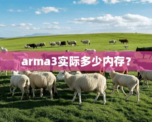 arma3实际多少内存？