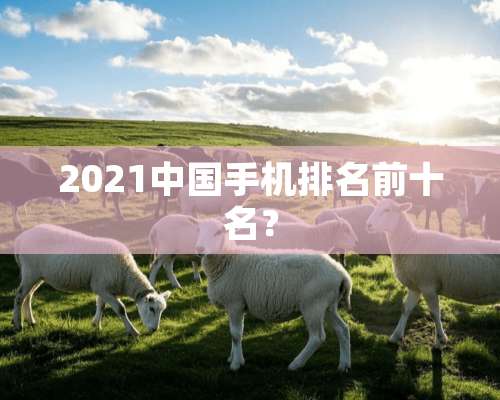 2021中国手机排名前十名？