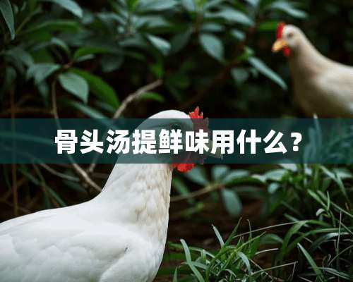 骨头汤提鲜味用什么？