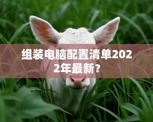 组装电脑配置清单2022年最新？