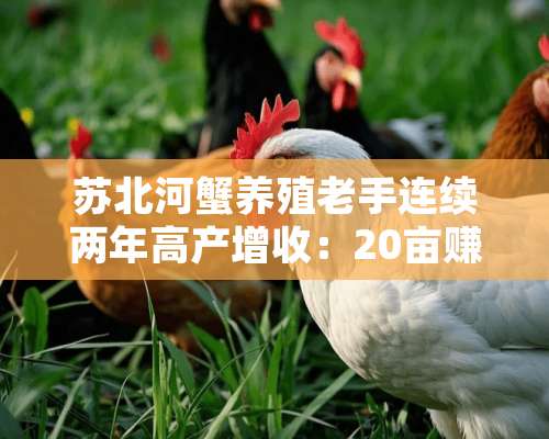 苏北河蟹养殖老手连续两年高产增收：20亩赚12万