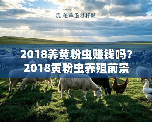 2018养黄粉虫赚钱吗？2018黄粉虫养殖前景